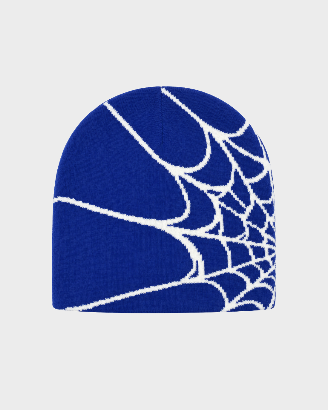 BLNKR Spider Web Beanie