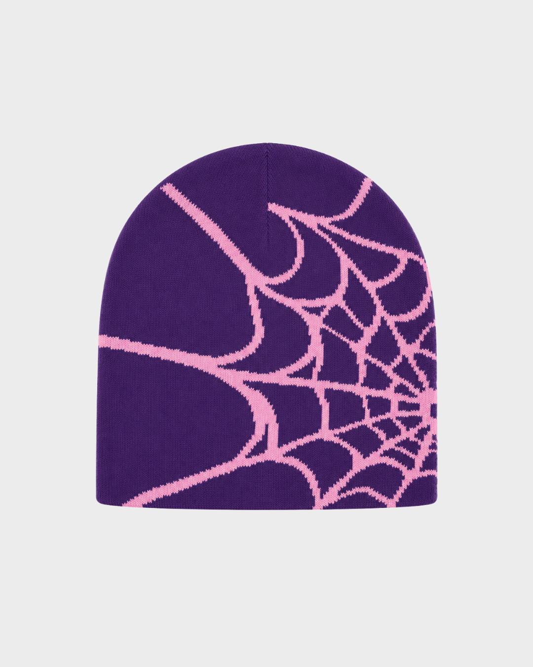BLNKR Spider Web Beanie