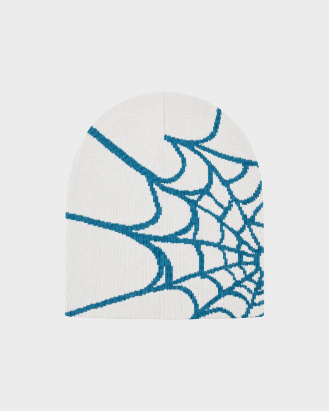 BLNKR Spider Web Beanie