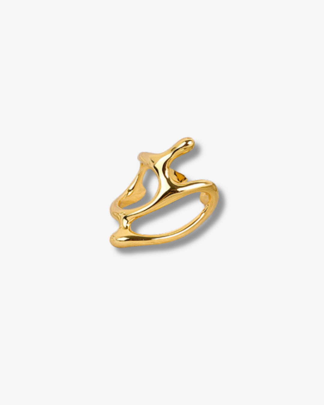THE LIQUID RING